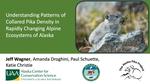 Understanding Patterns of Collared Pika Density in Rapidly Changing Alpine Ecosystems of Alaska